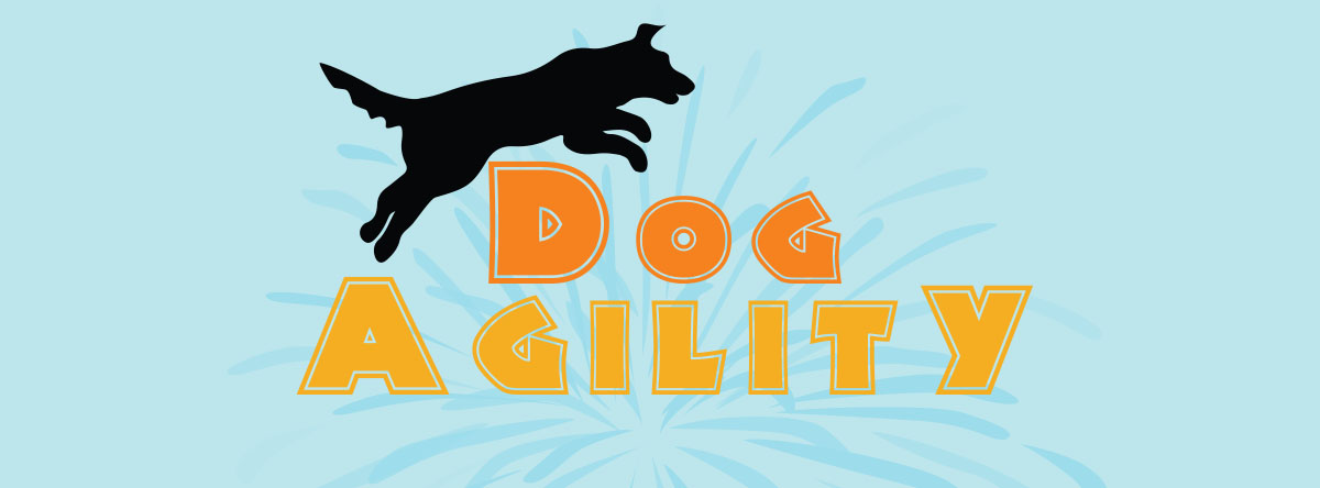 Agility logo